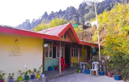 Pine Wood Homestay