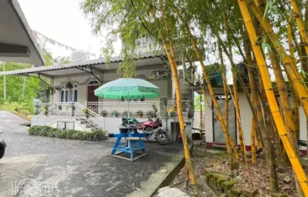 Yellow Bamboo Homestay