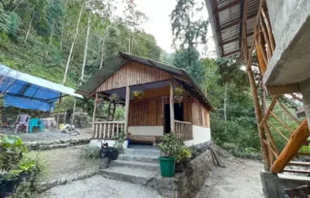 Golden Pine Homestay